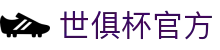 国际足联俱乐部世界杯2025 - 官方入口与赛程更新